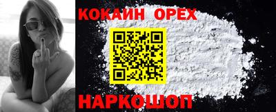 крисы Гай