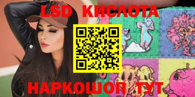 крисы Гай