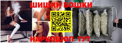 крисы Гай
