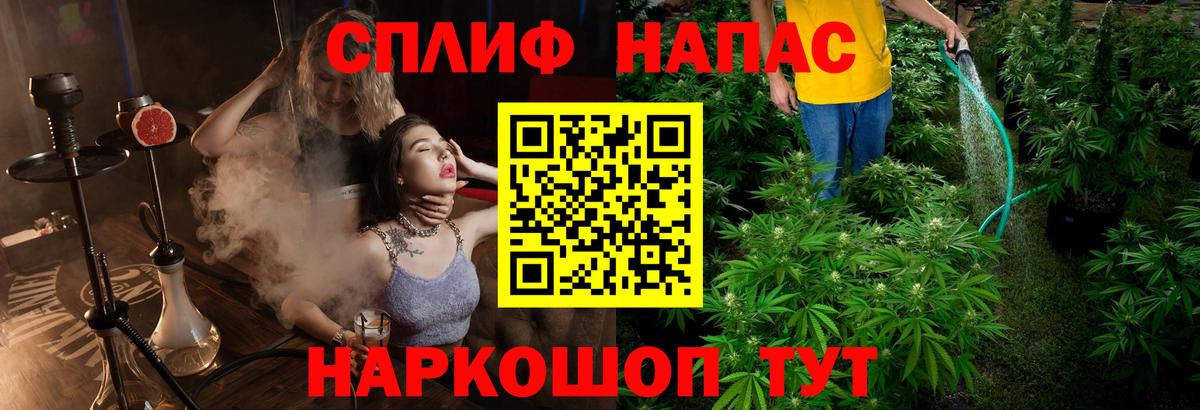 Дубна  Шишки марихуана сатива  Вход с VPN  Марихуана план 